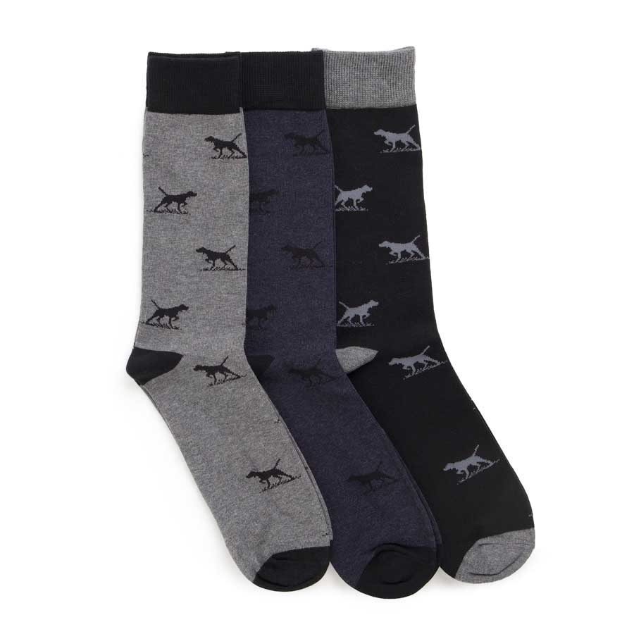 Rodd & Gunn Dogs-A-Plenty Three Pack Socks